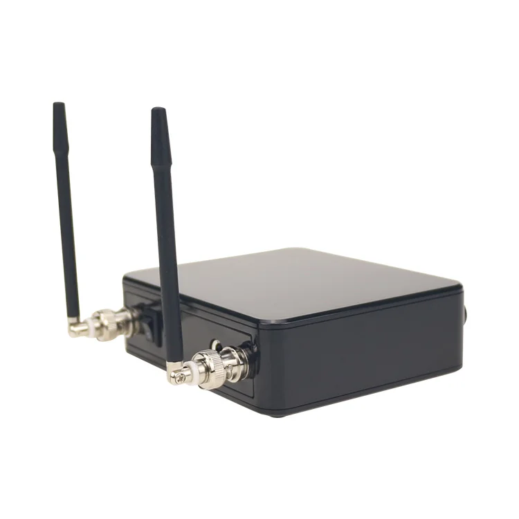 Portable 2 Channel Wireless Microphone For Singing