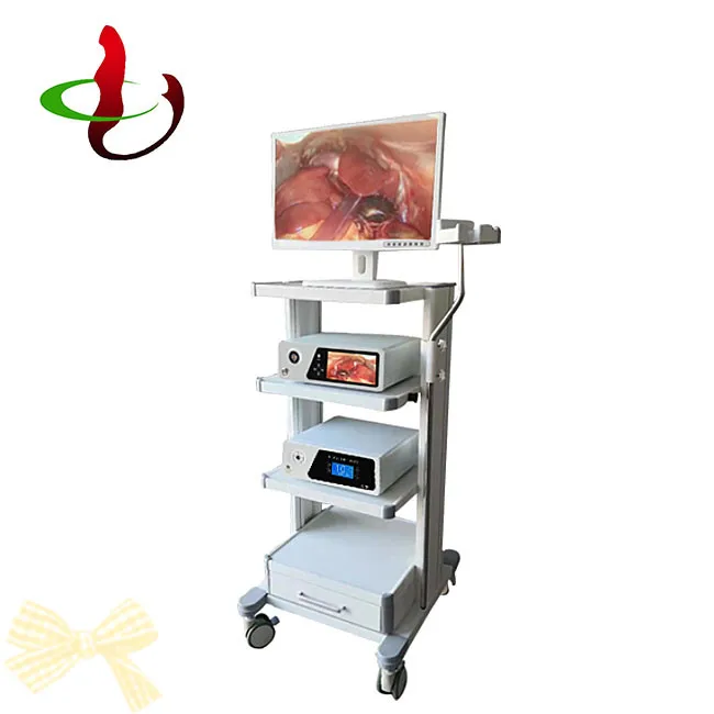 Портативный видео эндоскоп гибкий эндоскоп цена