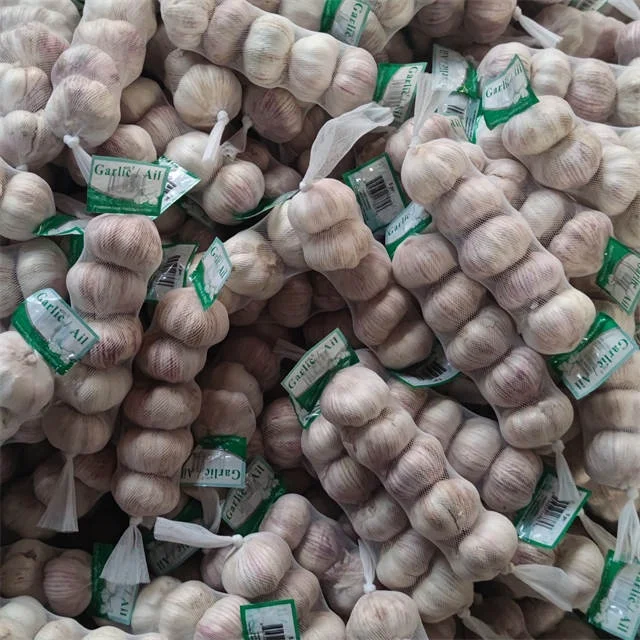New Crop Factory Supplier Normal White And Pure White Garlic