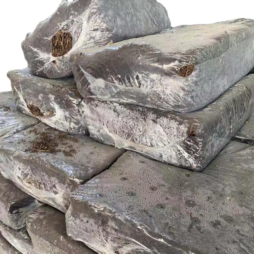 
greenhouse mushroom compost 