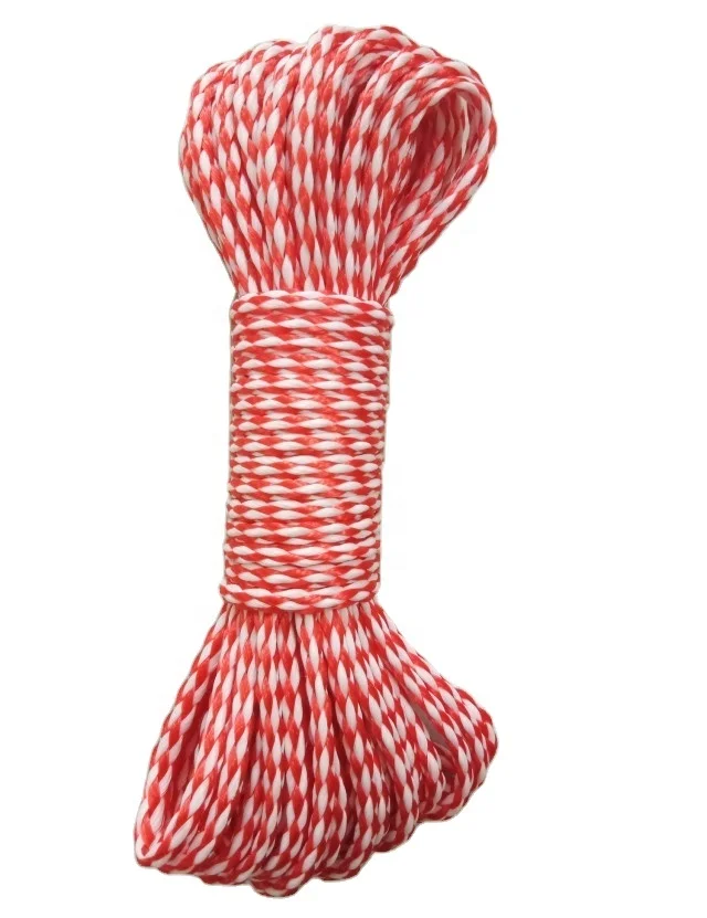 Best price PP hollow braid rope/ski rope/pp ski rope for South Africa