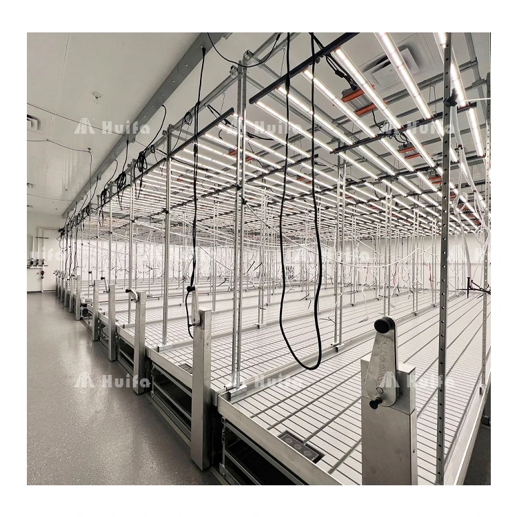 Подгонянная индустрия выращивания конопли Gmp помещения Cleanroom Заводские для в помещении