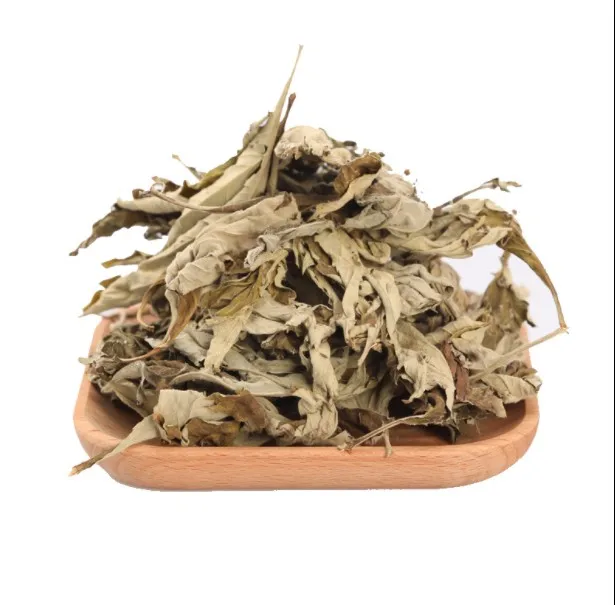 folium artemisiae argyi