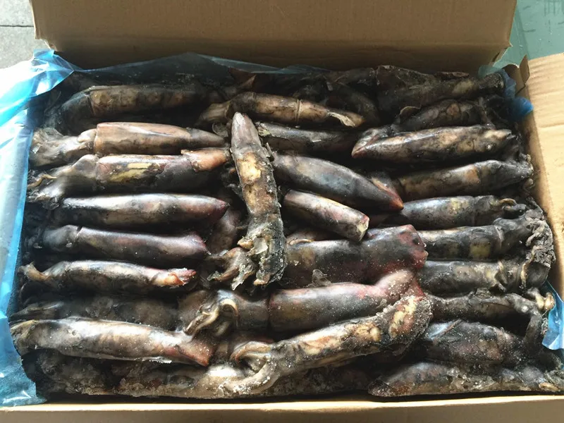 Frozen Glitter Black Squid Ring Frozen Squid Ring Cheap Price Black Squid for Market