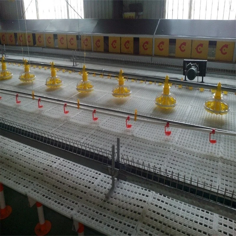 New Design Prefab Automatic Broiler Feeding and Drinking System Poultry House Shed Equipment on the Ground Floor