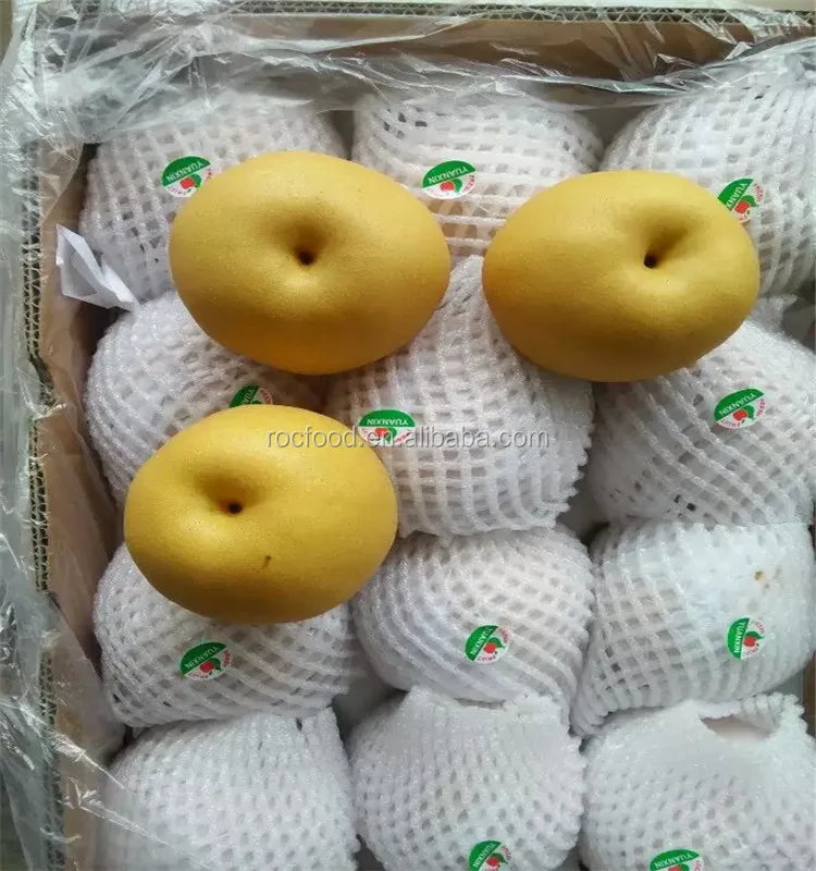  Китайские груши Ya pears