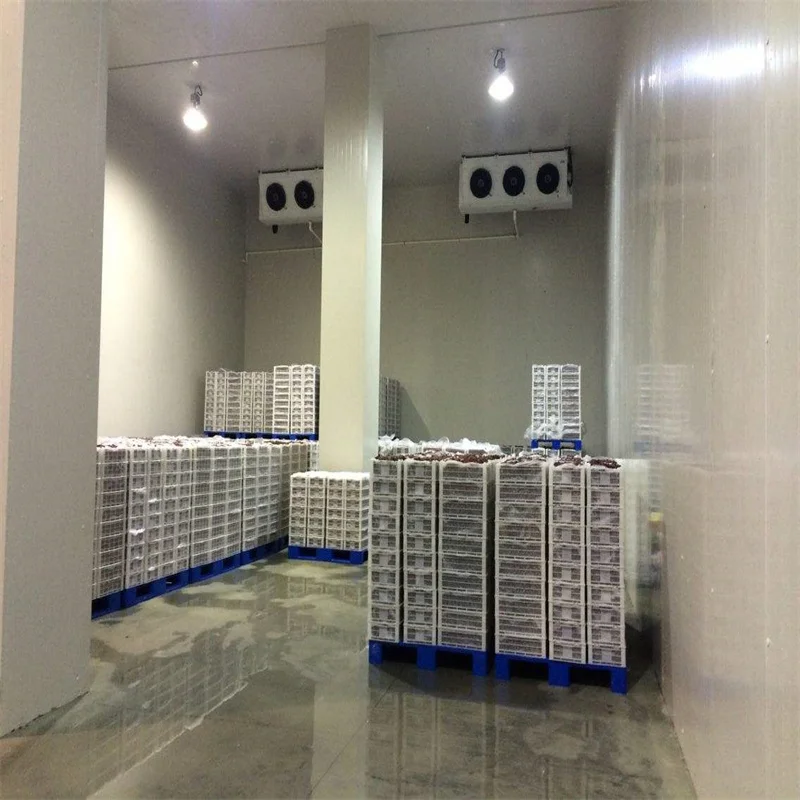 Extendable FreshCommercial Custom Sea Fish Fruits Cold Storage Room Container Refrigerator  Refrigeration Equipment Freezer