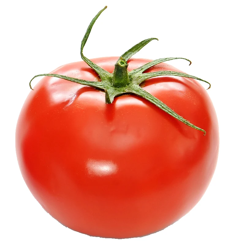 New China Juicy Manufacturer Certified Sweet Tomatoes In Large Quantity Packs