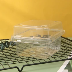 Food Grade Blister Plastic Pet Packaging Fruit Strawberry Punnet Box Container With Handle dry fruits box packaging