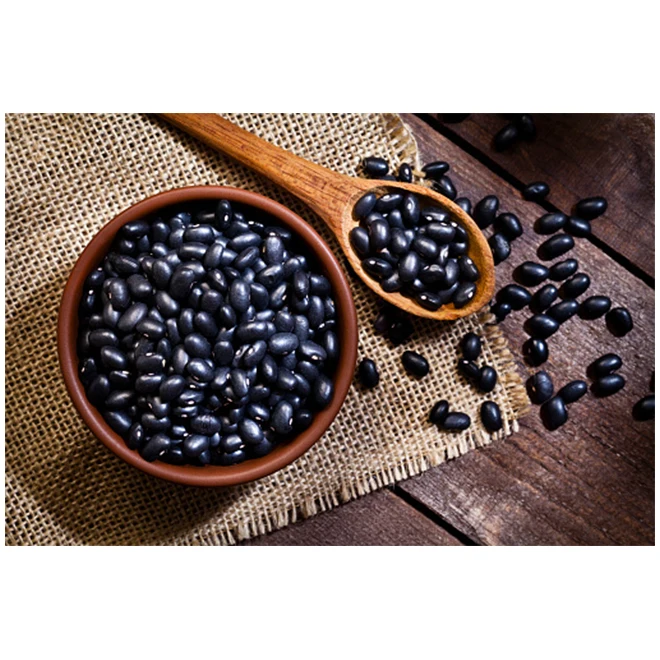 Conventional Premium Black Kidney Beans - High Quality, Best Price, Directly From Producers In Mexico