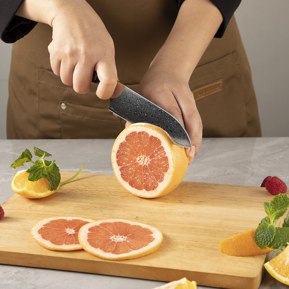 5 Inch Mini Santoku Knives Damascus Steel Professional Practical Kitchen knife with ergonomic Black Turquoise Handle