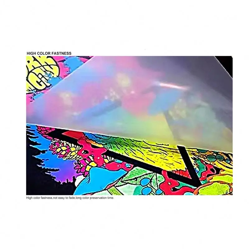 CCK 1 Liter 250ml 6 color DTF White Pigment Textile Screen Printing PET Film Transfer Printer Ink For Epson l805 8550