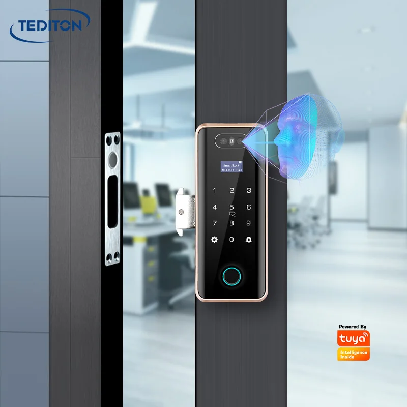 Tediton Newest OEM/ODM Keyless Biometric Fingerprint Face Recognition Sliding Glass Door Lock
