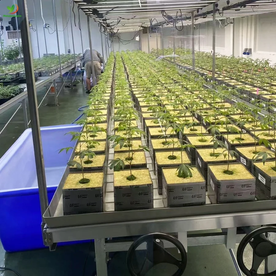 4x8 moveable vertical grow rack flood trays 2x4 for microgreens ,lettuce , salad hydroponics