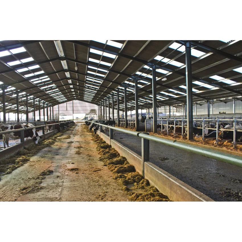 Prefabricated Metal Barn Warehouse Building Prefab Chicken House Cow Shed Pig Farm Steel Structure Warehouse Workshop Factory