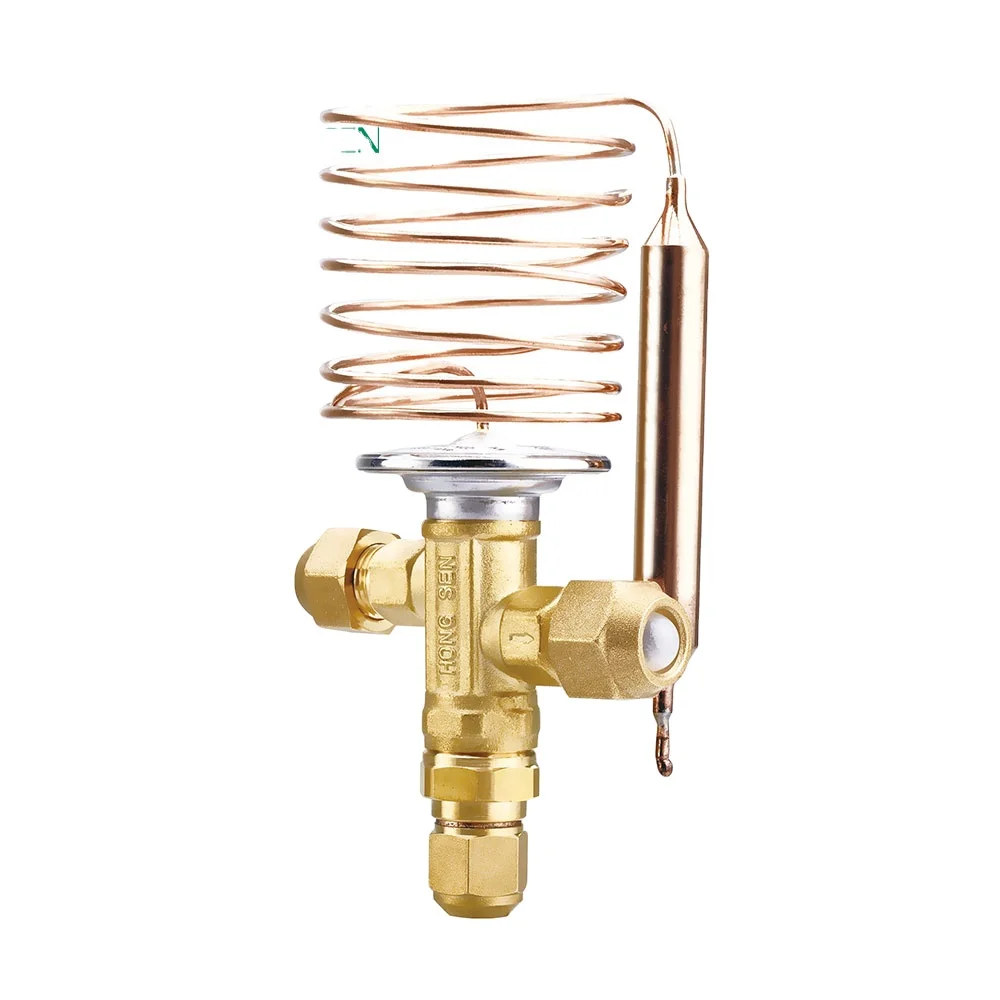 Hongsen ERF Thermostatic expansion valve for refrigeration cooling system R22 R407C R134A 100% tested