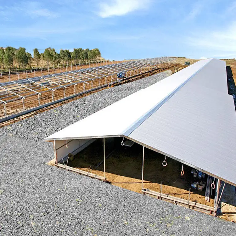 single or double storey custom made lightsteel prefabricated poultry houses for climate controlled livestock rearing
