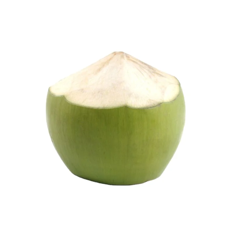 Свежий Кокосовый урожай во Вьетнаме 2021 Высококачественная продажа оптом