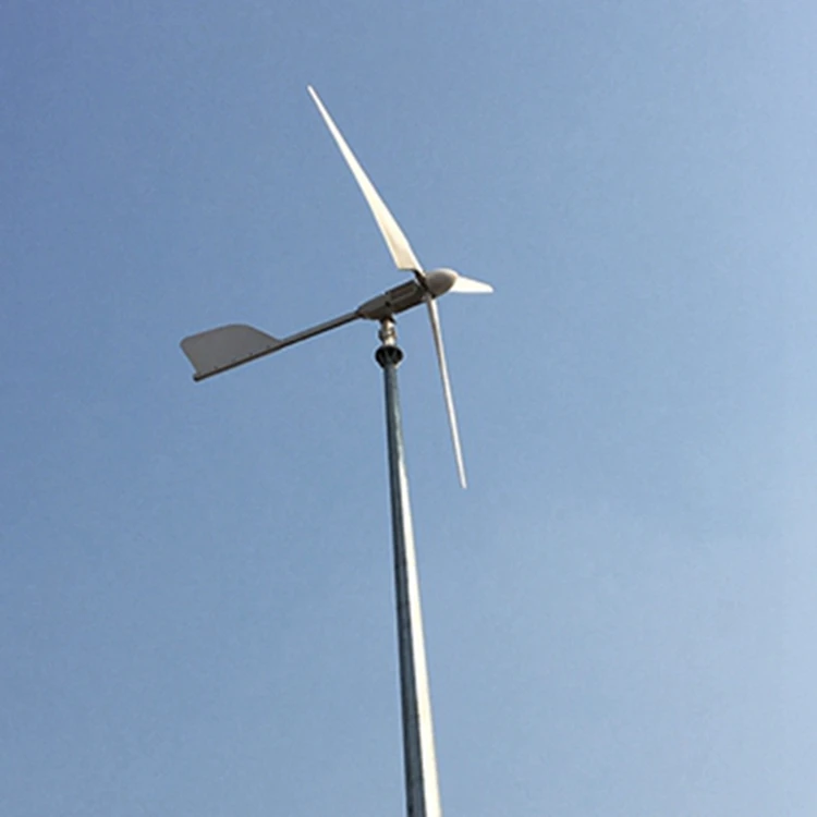 Tengyu Tech 2000W  12/24/48V Wind Turbine 2KW Wind Generator  2 kw wind power generator