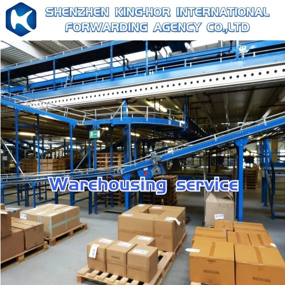 Railway Fba FCL Shipping Usa  Euro Sea Freight Forwarder Dhl Shipping From China For mass production