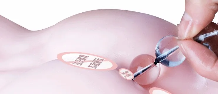 Women Men Adult Sex Toy Crystal Glass Anal Plug Enlarge Anal Beads Plug Wholesale S,M,L,XL