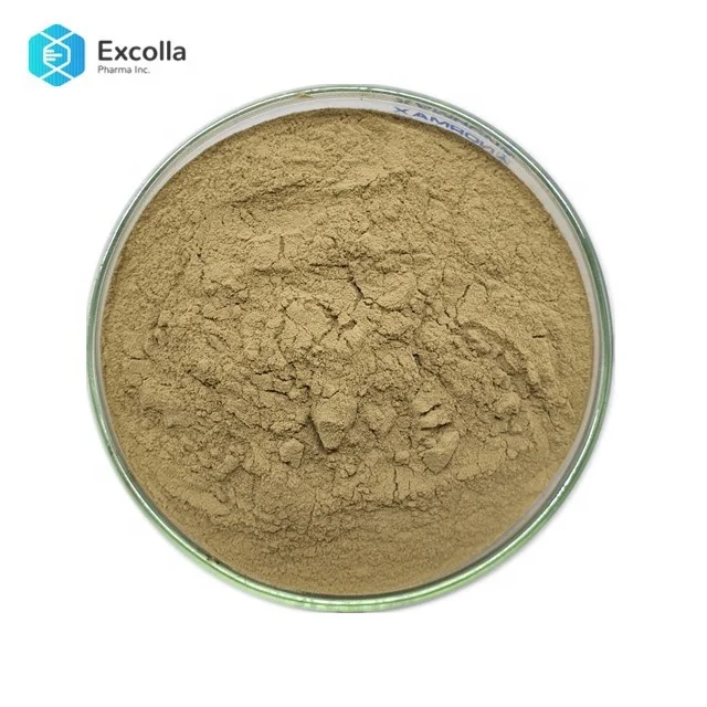 
High Quality Bacillus Amyloliquefaciens 