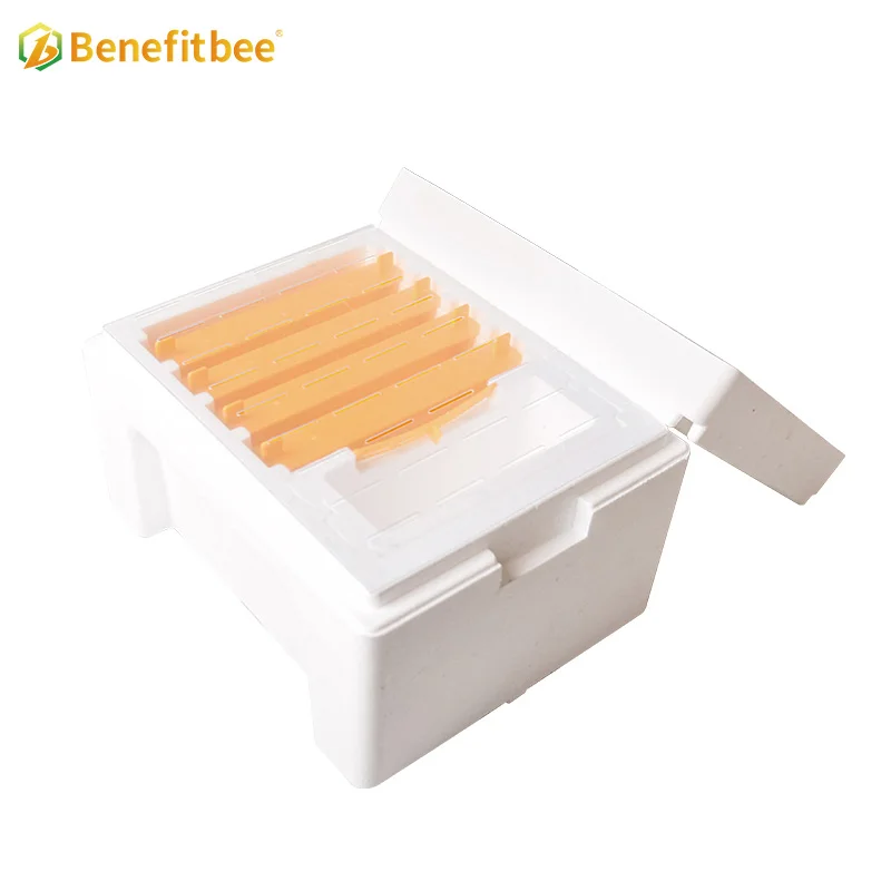 Beekeeping Equipment Plastic Bee Hives Queen Bee Mating Box