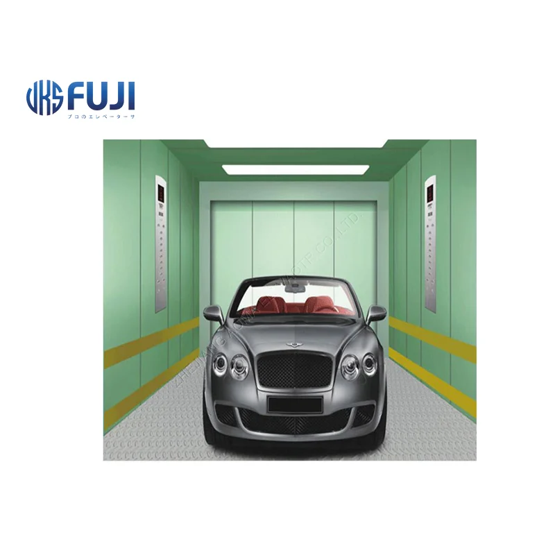 Storehouse Double Door Elevator Painted Steel Standard Design Car Elevator With Factory Price