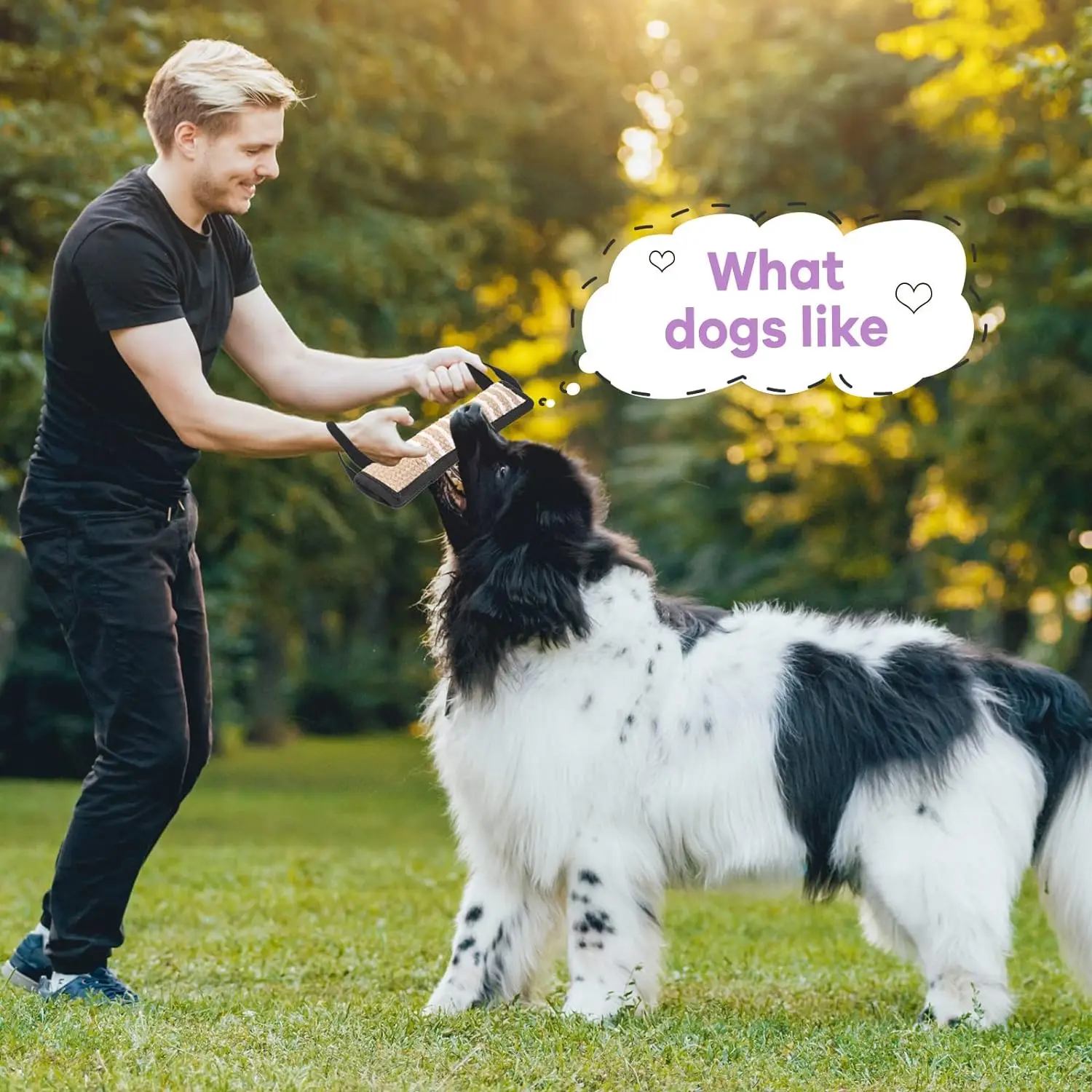 Durable nylon mixed fabric dog bite tug toy, tear resistant suitable for tug-of-war, suitable for small medium-sized dog toys