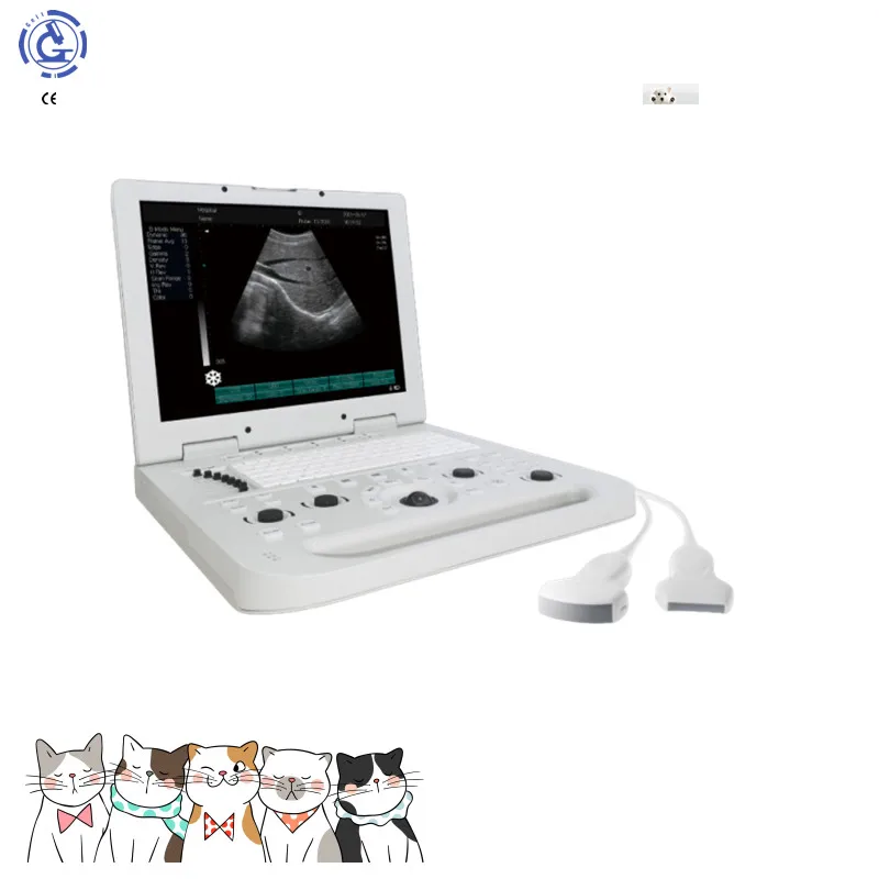 3d Портативный ультразвук с OB/GYN/сердечный/мочевой выпуклый вагинальный зонд