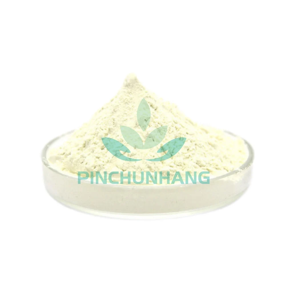 PCH Quality Natural Garlic Extract Powder 1% 25% Allicin Powder