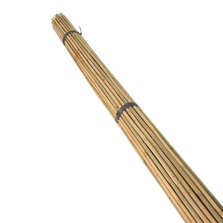 High Quality  Bamboo Poles , Bamboo stakes for plants Standfor plant support
