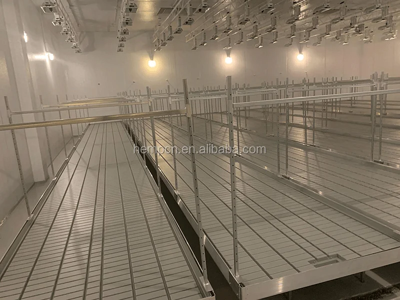 Mobile Hydroponic Rolling Benches Vertical Grow Racks for Sale