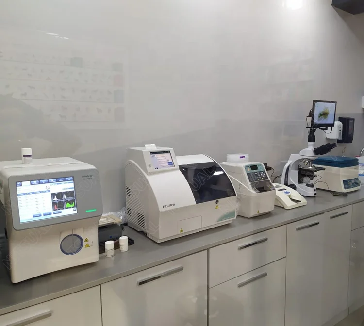 Mindray BC-30Vet Hematology Analyzer Veterinary 4 Part Differential CBC Machine BC 2800 Vet