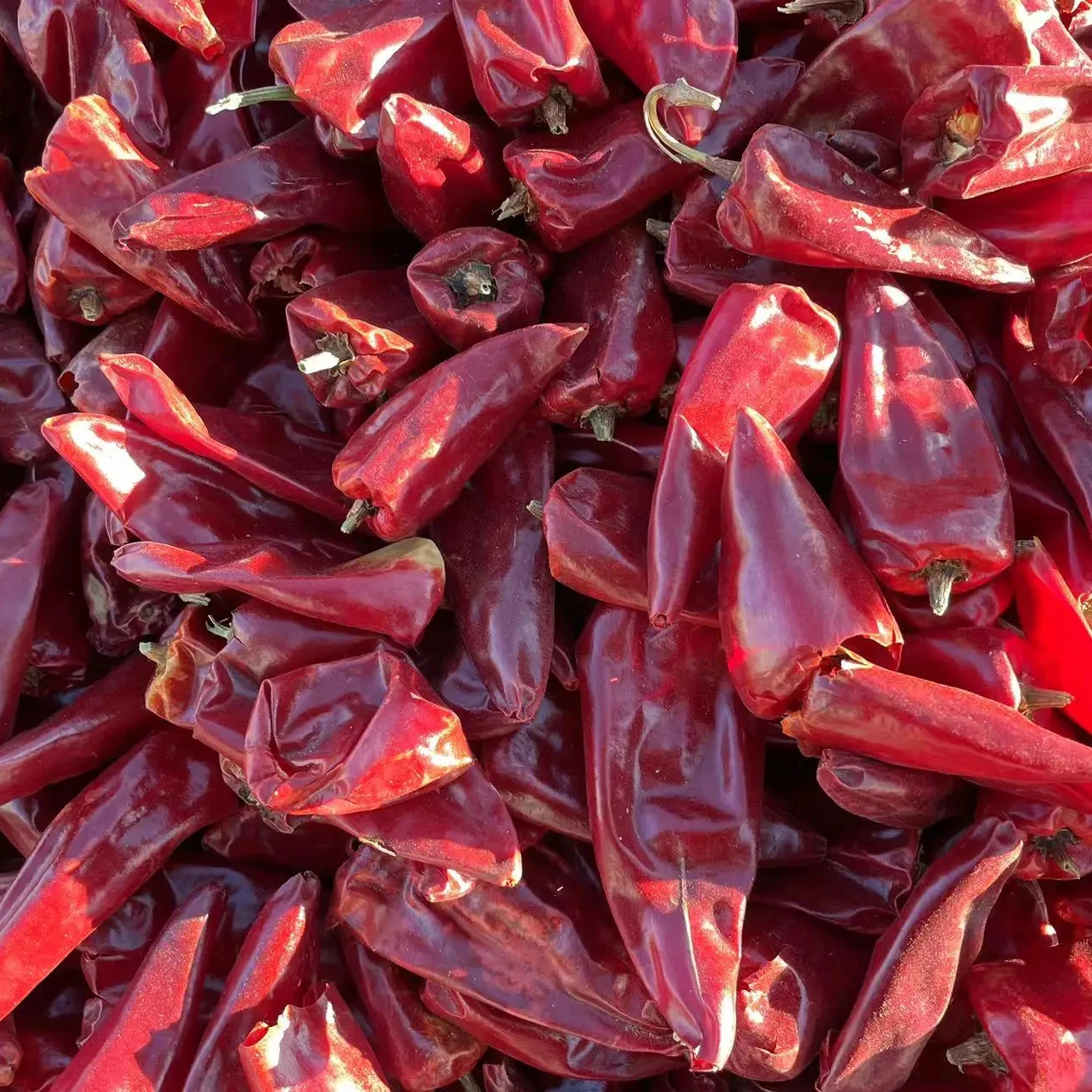 Cheap high quality dried bell pepper Chaotian red chili powder spicy hot chili
