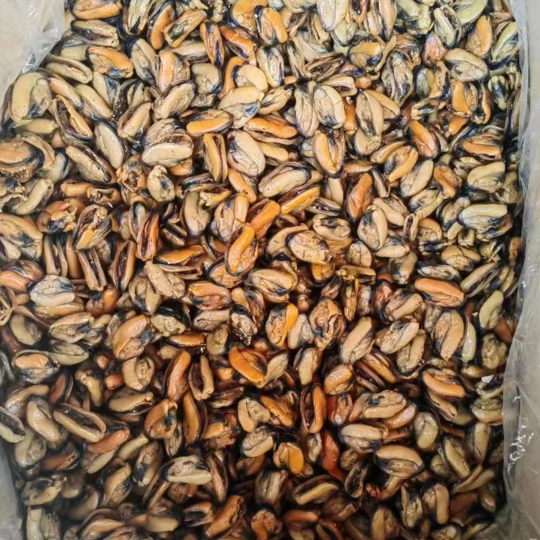 Factory price Dried mytilus edulis meat Dried  mussel meat without shell mussel meat