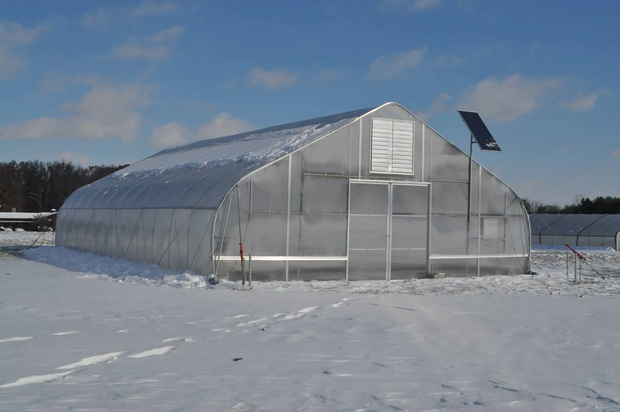 Zambia Low Cost Greenhouse 30 X 100 Greenhouse Modern Greenhouse For Vegetables