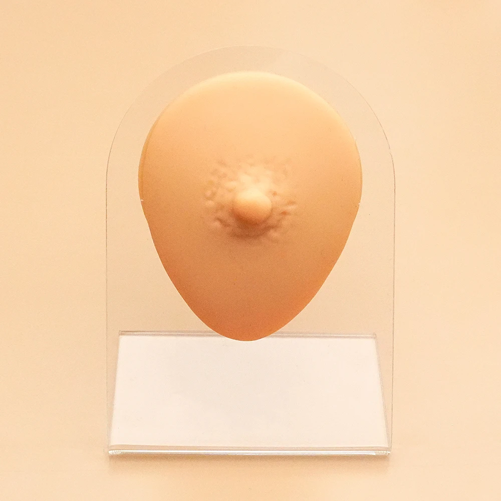 Toposh hot sale silicon mold ear display model stand show earring piercing jewelry display tool nose piercing display