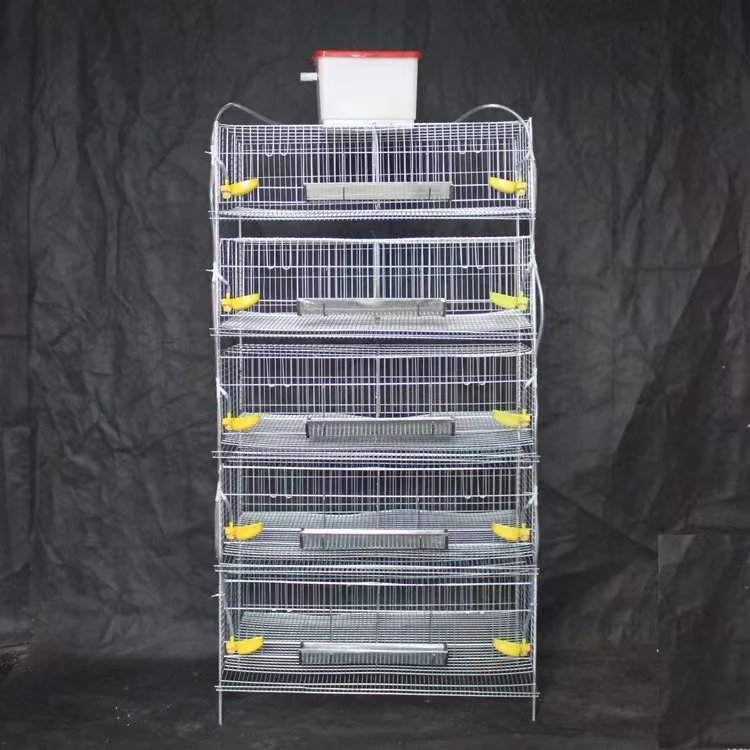 Hot sale quail cage for male and female fertilized eggs commercial quail cage for jumbo quails