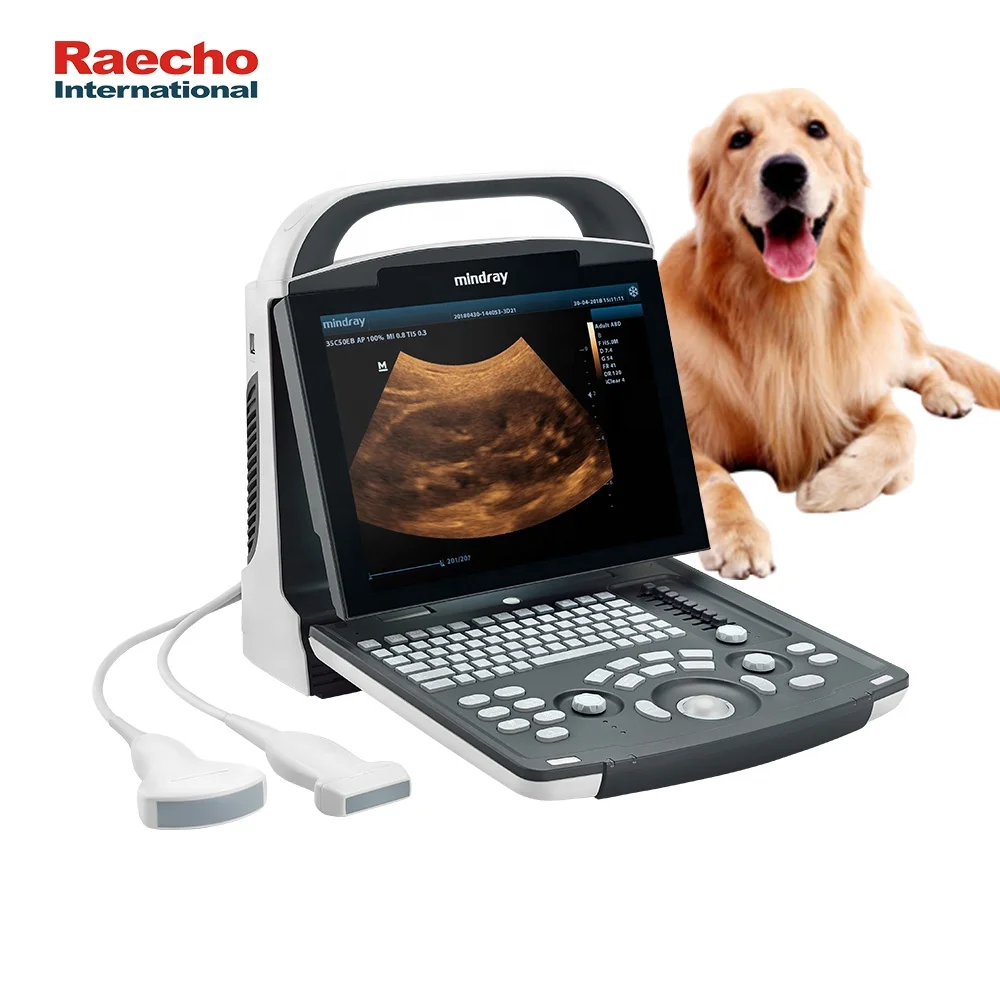 Hot Selling Mindray DP10 Vet Ultrasound Machine Ultrasound Scanner for Veterinary