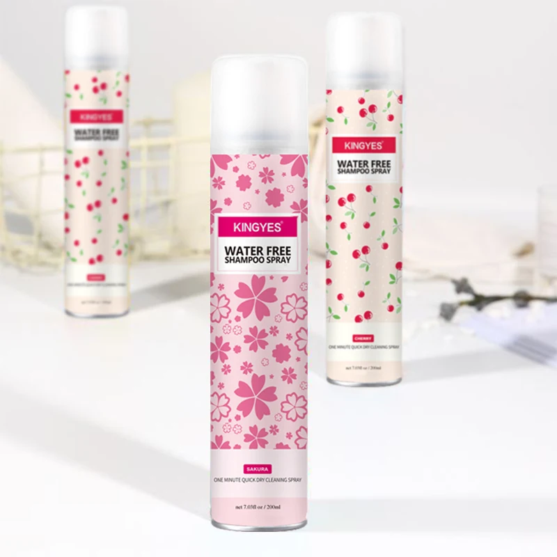 Best Refreshing and Washing-free Hair Care Products Wholesale Oily Hair Dry Shampoo Powder Spray