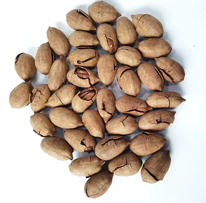 Новый Урожай хорошего качества, Миндальный Орех пекан фисташковых орехов пекан Сырье 100% натуральный орехи пекан