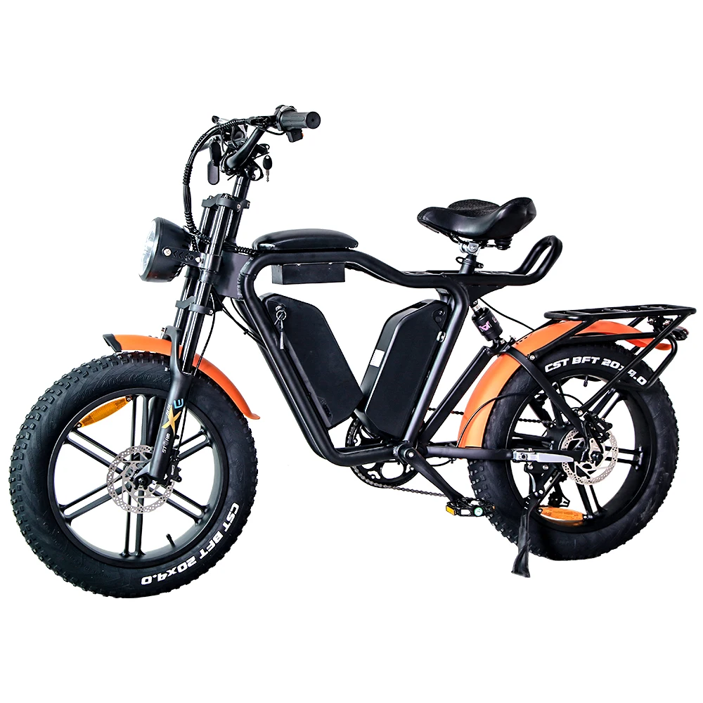 Made In China Superior Quality 48v 22AH 20inches Wheel Dual Battery Mountain Bike Fat Tire eBike 1000W Electric Bicycle