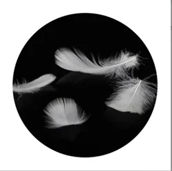 Hot Sale Washed Grey Duck Down Feather Filling Material Pillow Filling Material