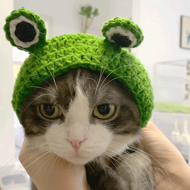 Cat dog cartoon knitted wool hat cute dress cute pet change frog hood hat