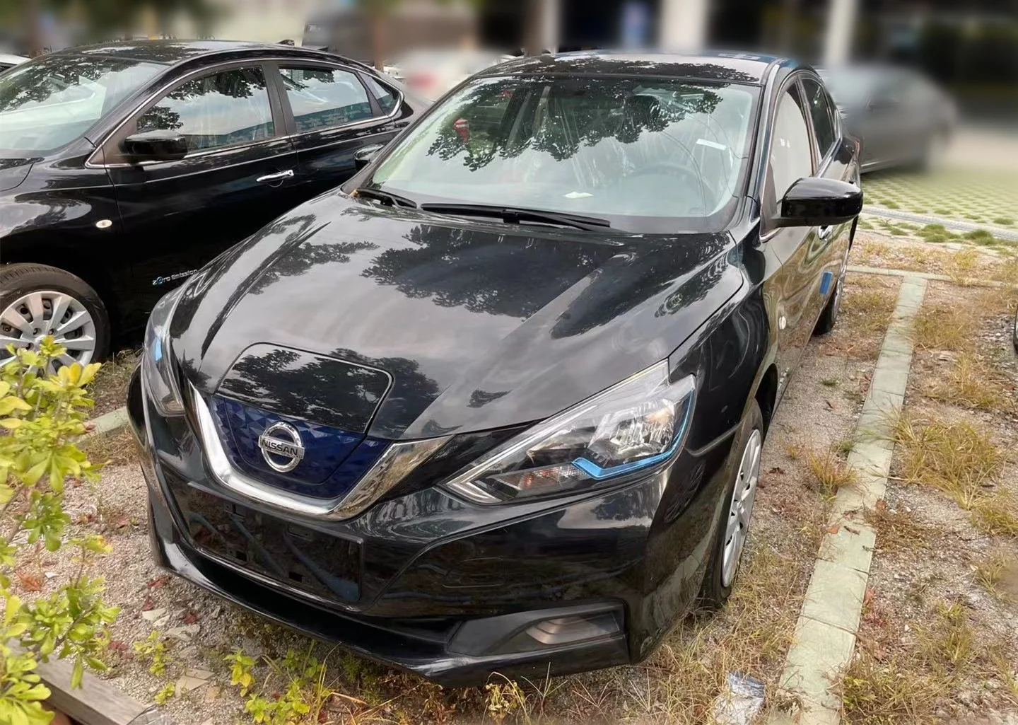 Дешевый Электрический автомобиль Nissan Sylphy EV седан автоматический