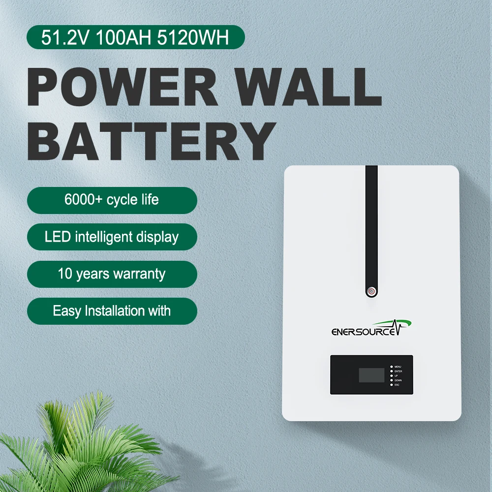 Cheap Energy System Storage Inverter Power wall 20kwh mounted lithium Solar Lithium-Ion BMS battery 5kwh 24V lifepo4 powerwall