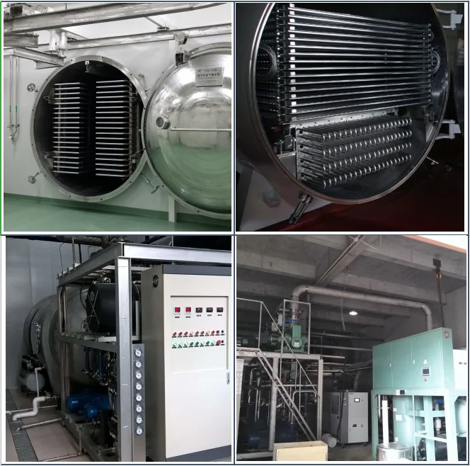 Food Fruit Vegetable lyophilizer Freeze Dry Machine Vacuum Dryer Price