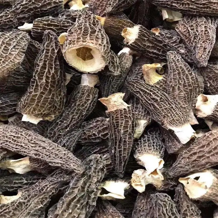  Высшее качество оптовые продажи морельный гриб высушенный Morchella Esculenta из