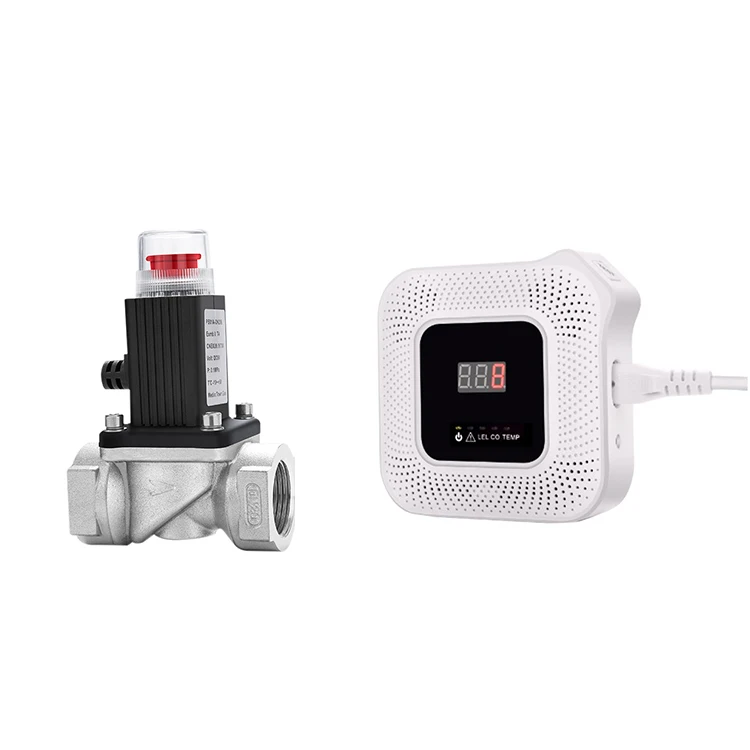 Electrovalve Solenoid Valve Alarm Valve for Smart Fire Alarm Security System